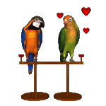 Gif animé coeur colombe